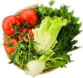 ŞATIROĞLU TARIM VE HAYVANCILIK