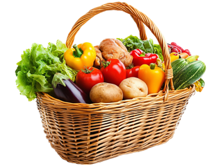 ŞATIROĞLU TARIM VE HAYVANCILIK